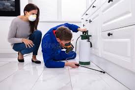 Best Pest Exclusion Services  in Holtsville, NY